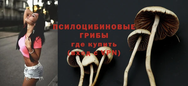 кокаин Богданович